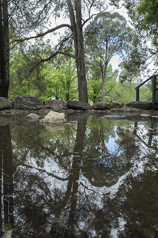 9. Reflections by David Woolcock